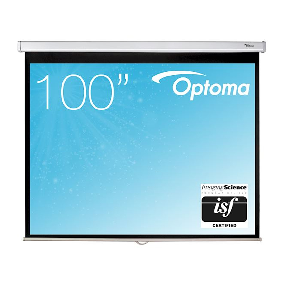 Optoma DS-3100PMG+Leinwand 100'' (254 cm)