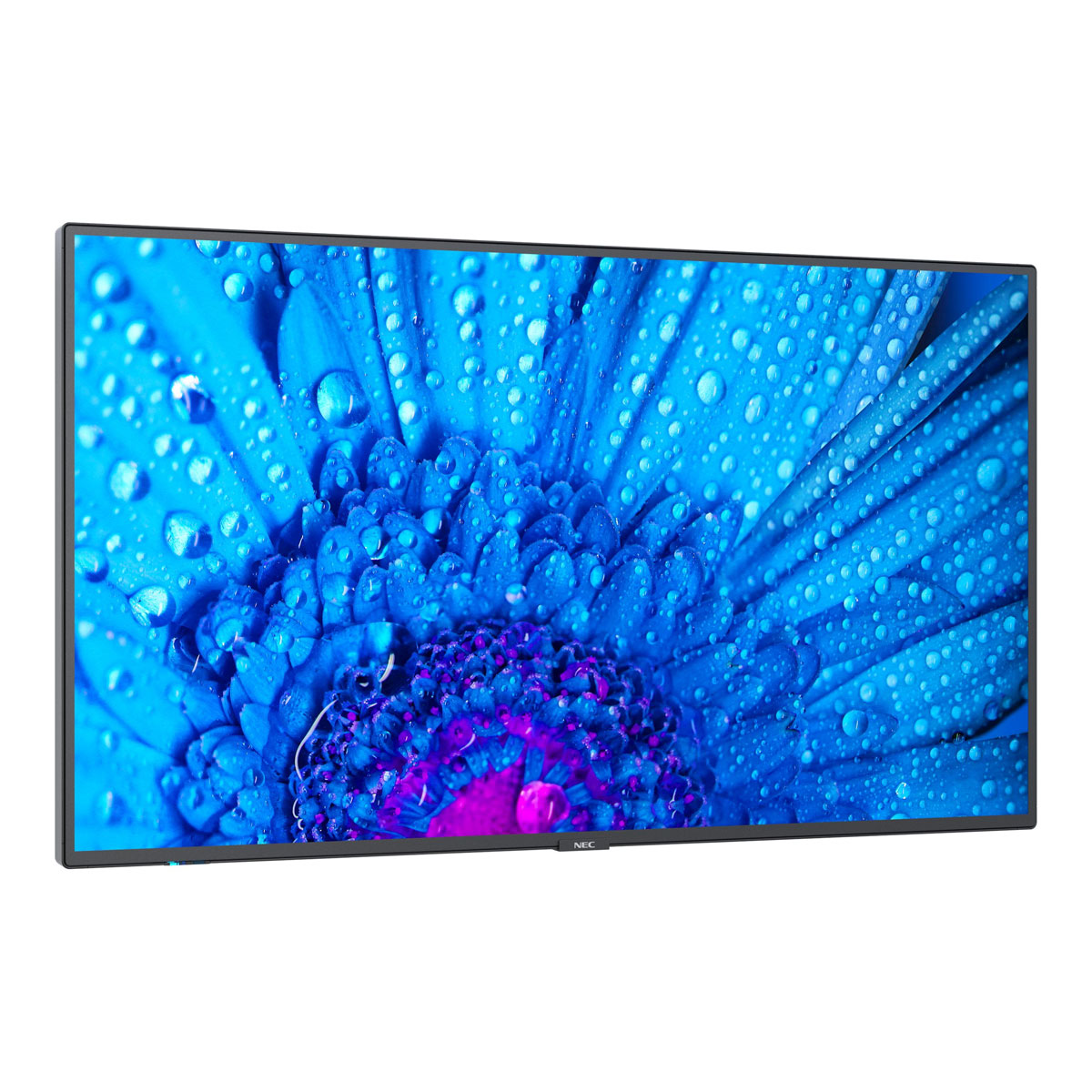 NEC MultiSync M651 65'' UHD-Display 